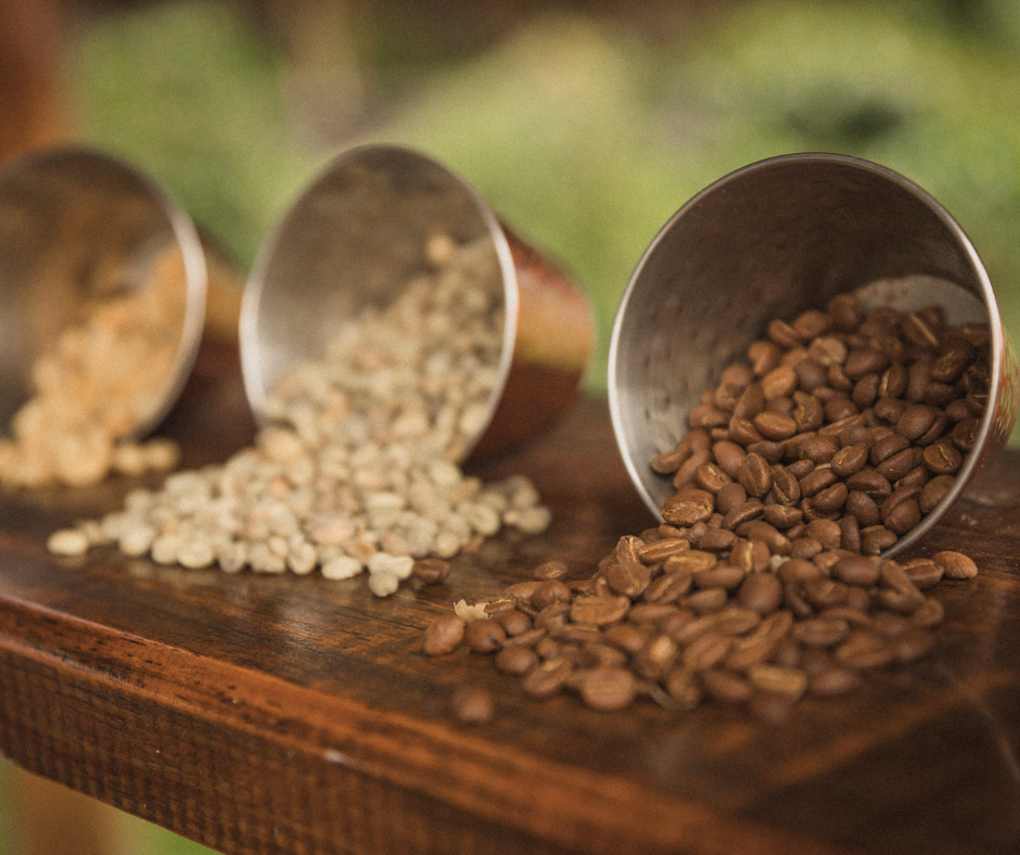 Coffee Roast Levels Explained